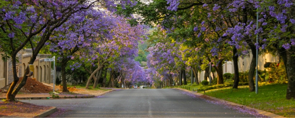 ”Bryanston